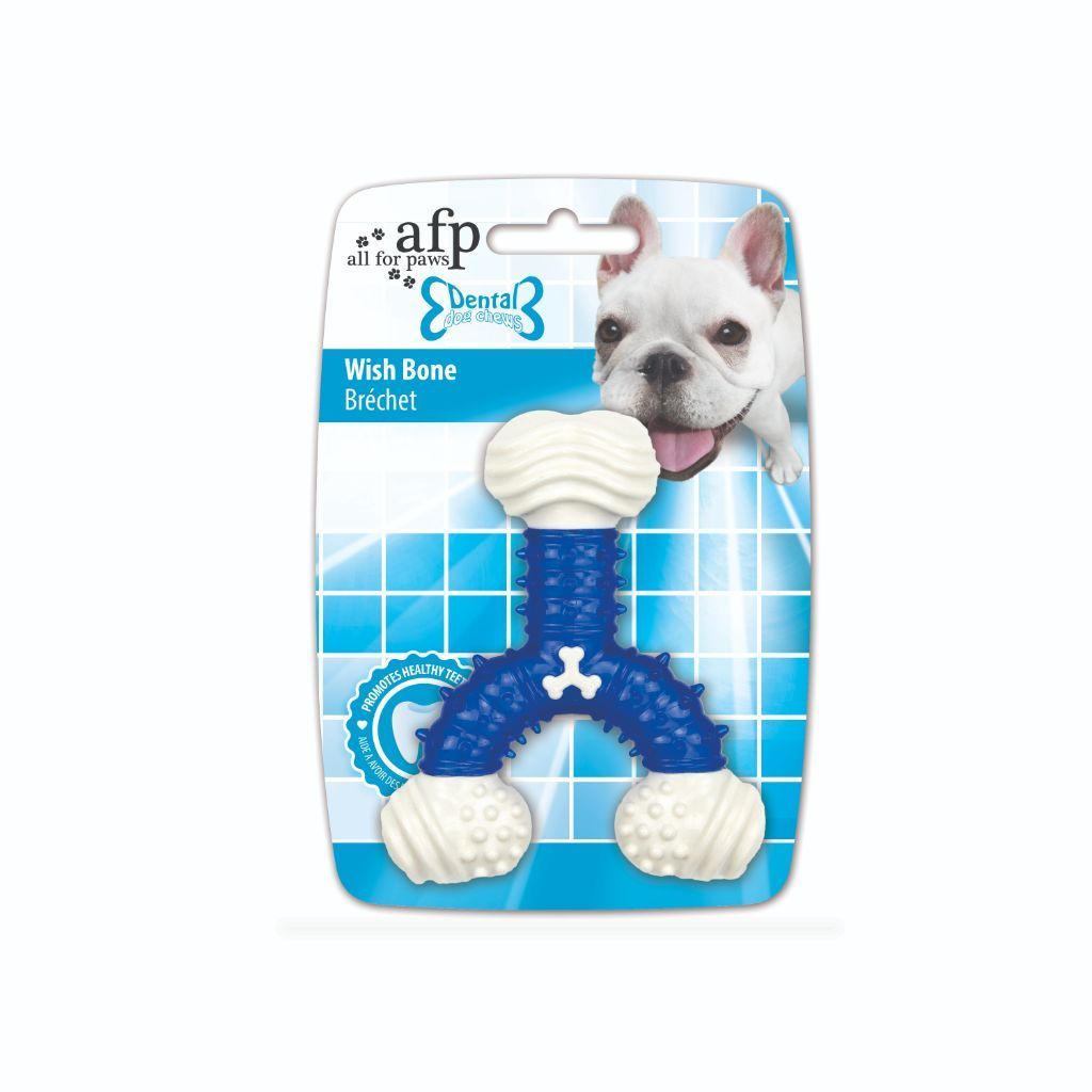 Wish dog stuff fashion